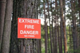 Fire Danger