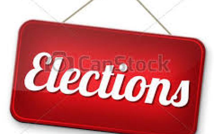 Town Election Results