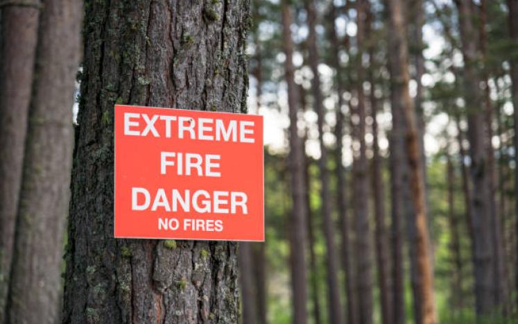 Fire Danger