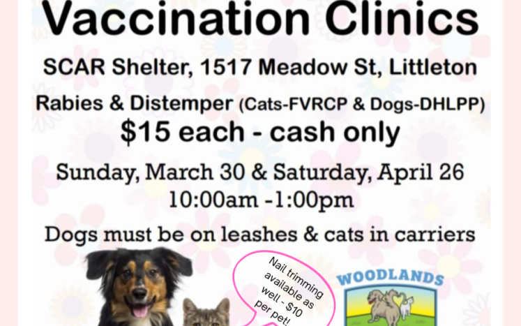 Low Cost Clinic